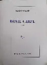 Marie NDiaye : Rosie Carpe
