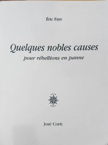 Eric Faye : Quelques nobles causes pour rébellions en panne
